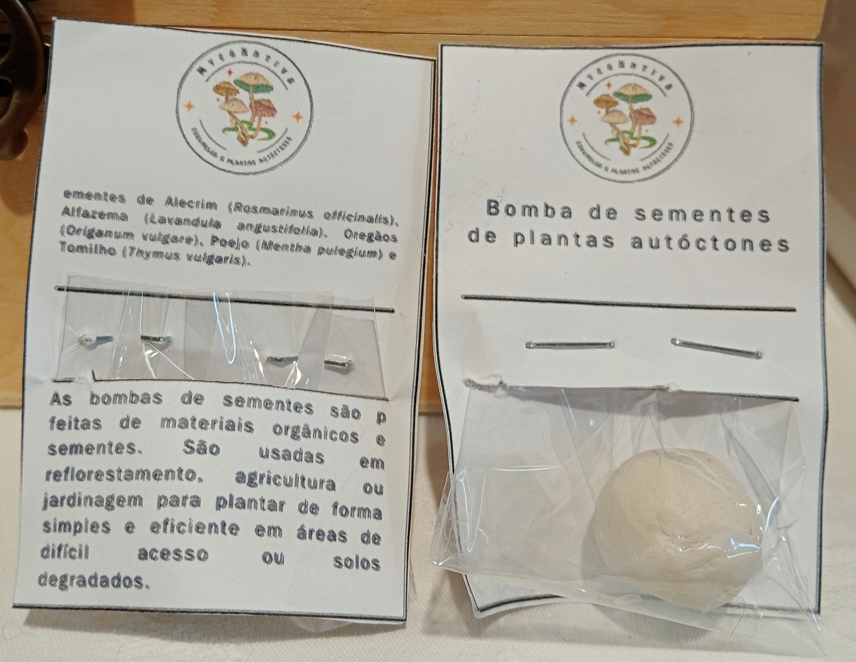 Bomba de sementes de plantas
