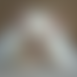 Ragdoll kitten wachtlijst: wat je moet weten