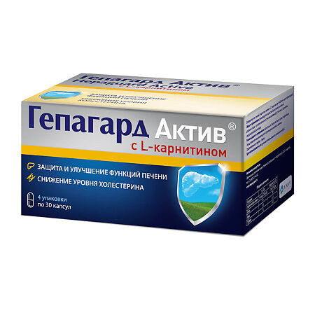 Гепагард Актив капсулы 360 мг, 120 шт. | Tevaherb