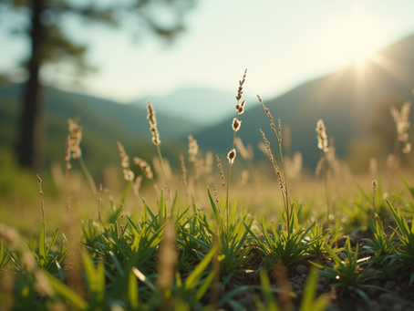 Key Practices for Transforming Your Inner Self