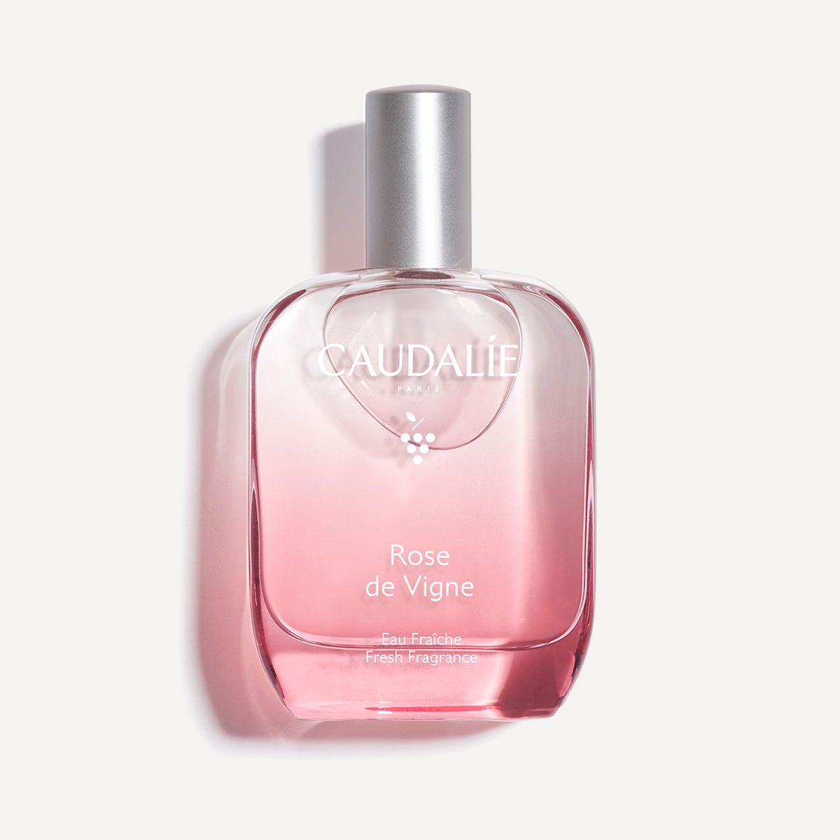 ACQUA FRESCA ROSE DE VIGNE - 50 ML