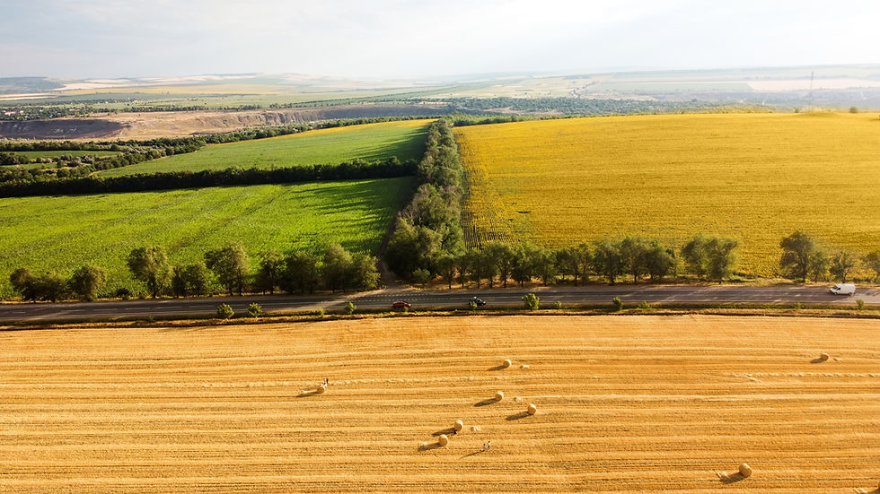 aerial-drone-view-nature-moldova.jpg