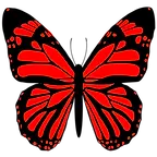 red-butterfly-design-free-png.webp