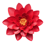 pngtree-red-lotus-flower-png-image_11616342.png