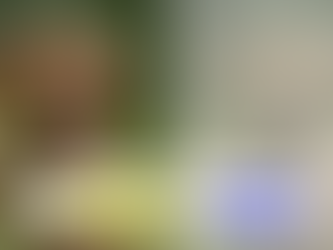 dog color vision chart