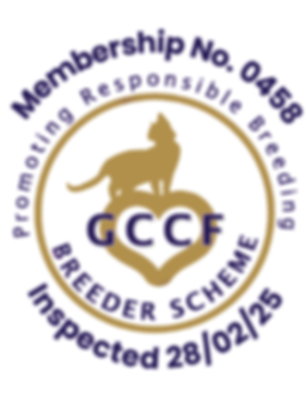 BSInsLogo 0458 Catherine Durance_001.png