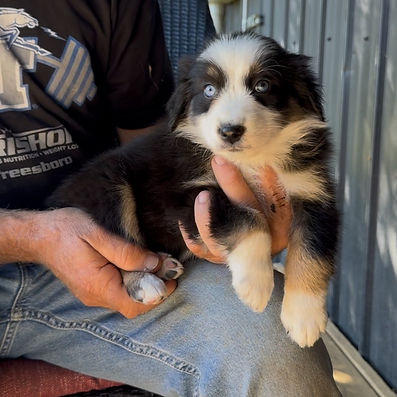 View recent photos (28)_edited.jpg