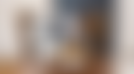 Armazenamento e Conservação Adequada da Ração do seu Pet