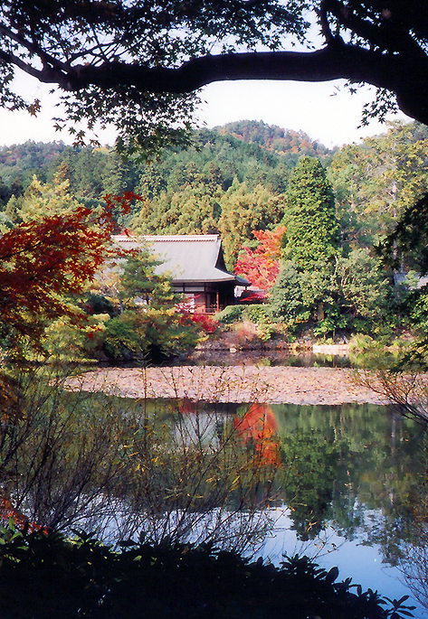Ryoan-ji 竜安寺