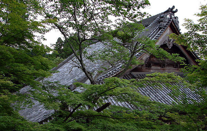 Eikan-do Zenrinji 永観堂禅林寺