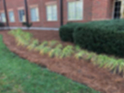 image3 (002).jpeg