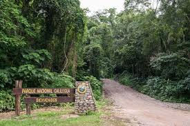 TRABAJADORES DE PARQUES NACIONALES DENUNCIAN RECORTES PRESUPUESTARIOS QUE AFECTAN AL PARQUE NACIONAL CALILEGUA
