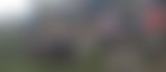 PARTE POLICIAL: SUSPENDIERON PARTIDO EN FRAILE, CAMIÓN CHOCÓ CON UNA VACA E INCENDIO EN SAN ANTONIO