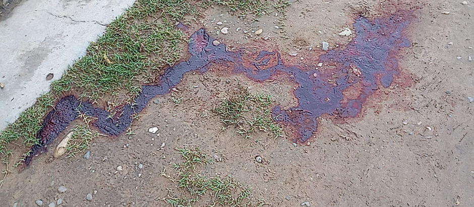 HOMICIDIO EN BARRIO PATRICIAS ARGENTINAS: EL JOVEN LESIONADO EN LA ESQUINA DE SU CASA, FALLECIÓ ESTA TARDE