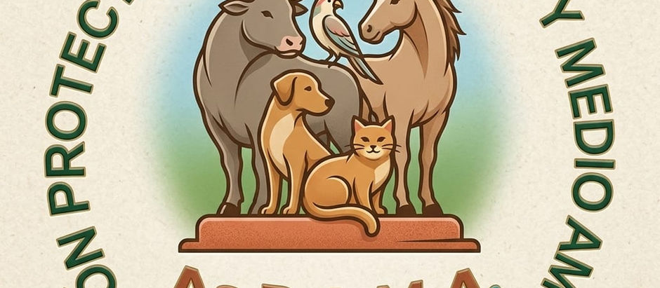 PATITAS ORGANIZA LA "MARATÓN A TODA PATA" ESTE DOMINGO 12 DE JULIO EN PLAZA CENTRAL
