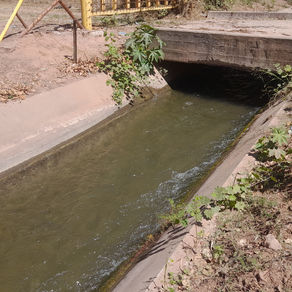 ¿Qué pasa con el agua potable en Libertador. La empresa Ledesma desmiente rumores.