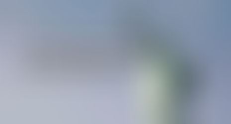 Monthly report, November 2024