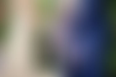 Handfasting, Bendición con Cintas