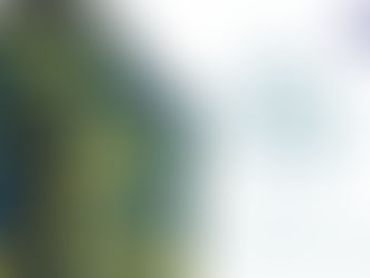 Je vous souhaite un Joyeux Noël.