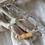 Thumbnail: Bamboo Bracelet