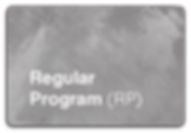 Regular Program (RP).png