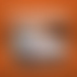 Daftar Harga Kasur FLORENCE Springbed Januari 2023 | Victoria Furnicenter Surabaya Sidoarjo Malang