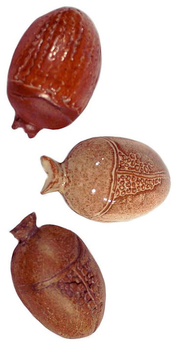 beetle rattles verticle.jpg