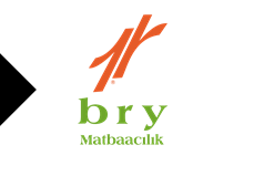 BireyLogo.gif
