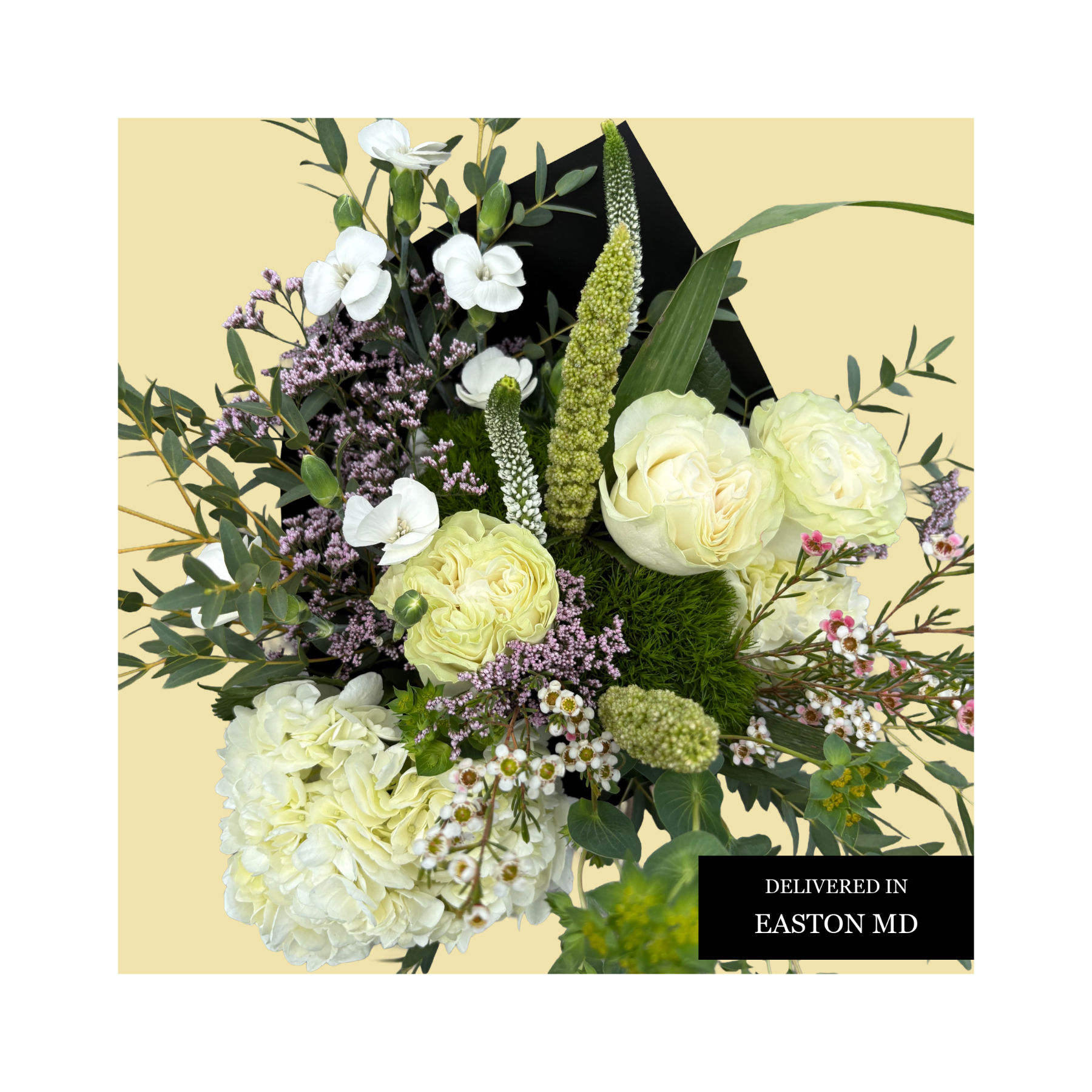 FLEURS BLANCHES $50 - $100