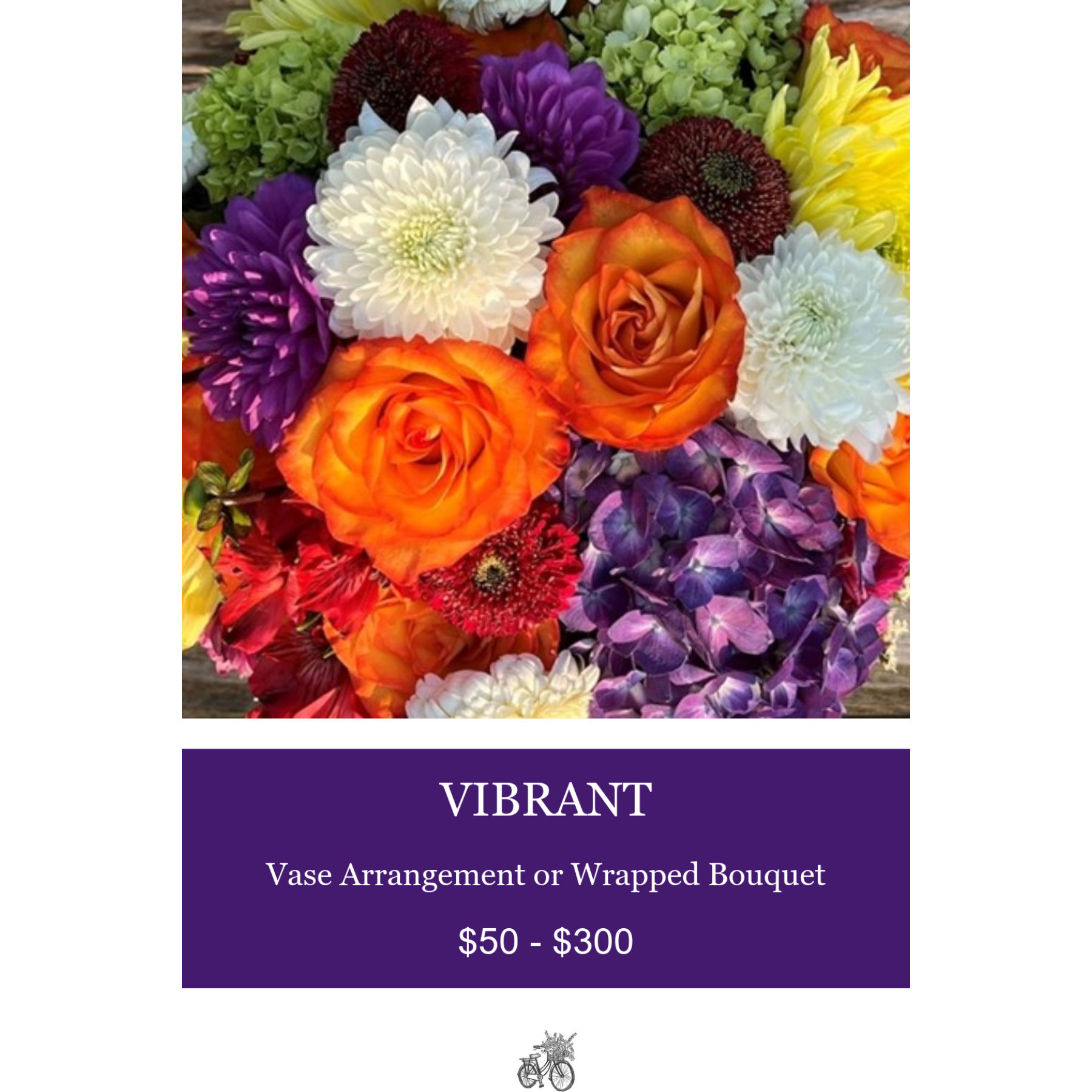 VIBRANT $50 - $300