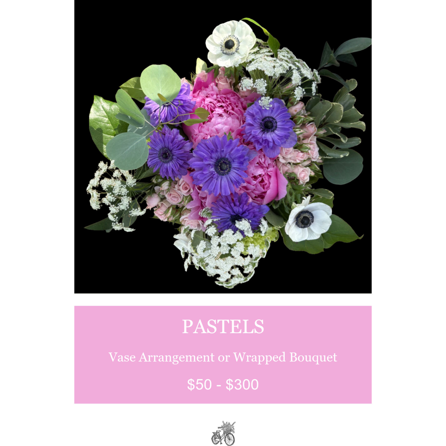 PASTEL $50 - $300