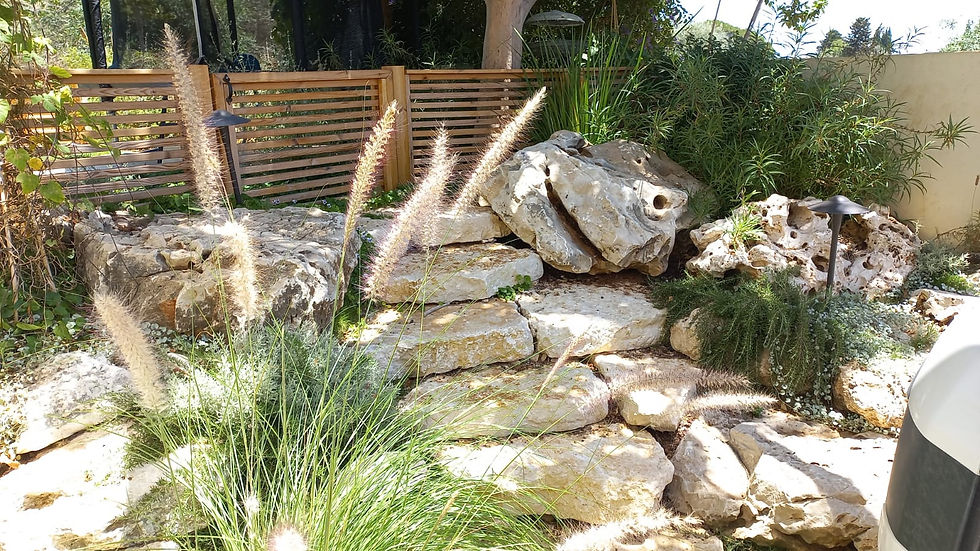 מסלעה ומדרגות טבעיות - זכרון יעקב