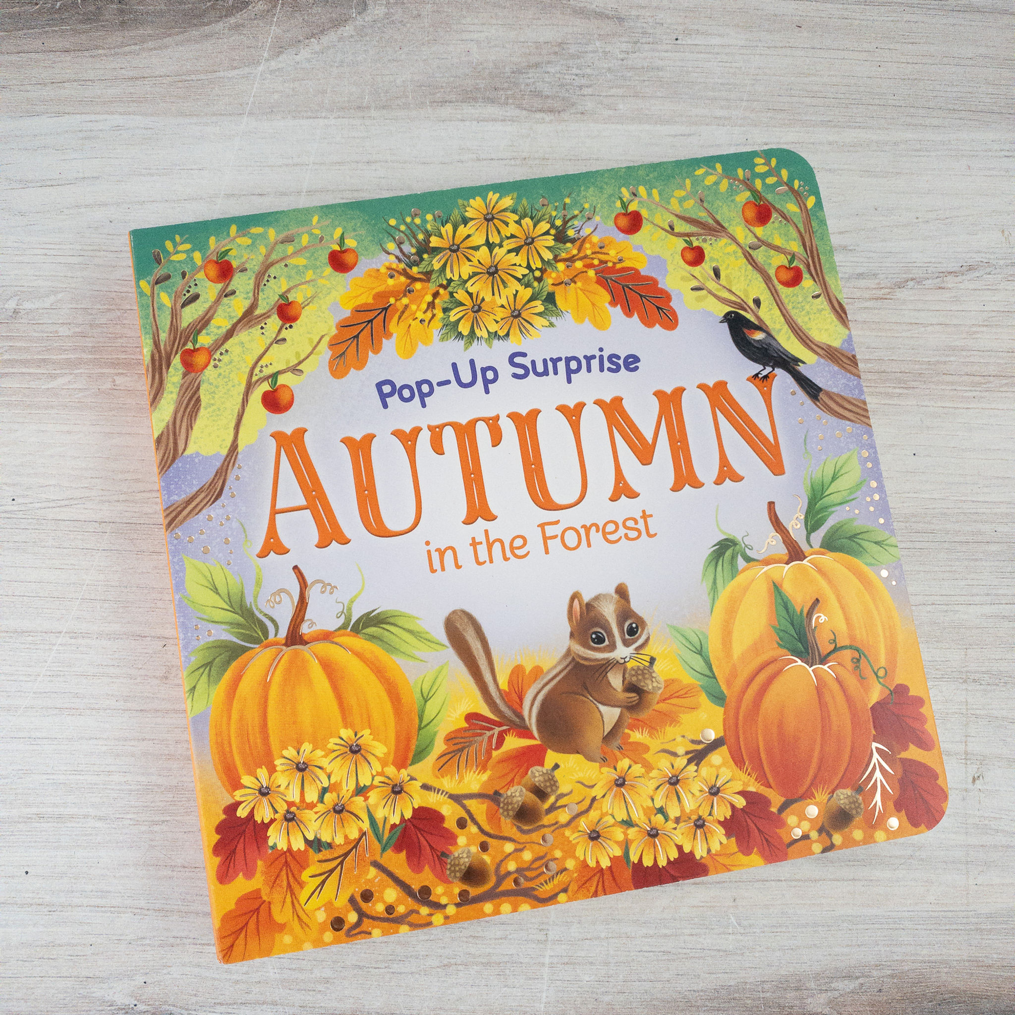 Pop-Up Surprise Autumn In The Forest Boom