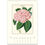 Thumbnail: Botanica 2026 Wall Calendar