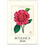Thumbnail: Botanica 2026 Wall Calendar