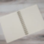 Thumbnail: Halloween Faces Spiral Notebook
