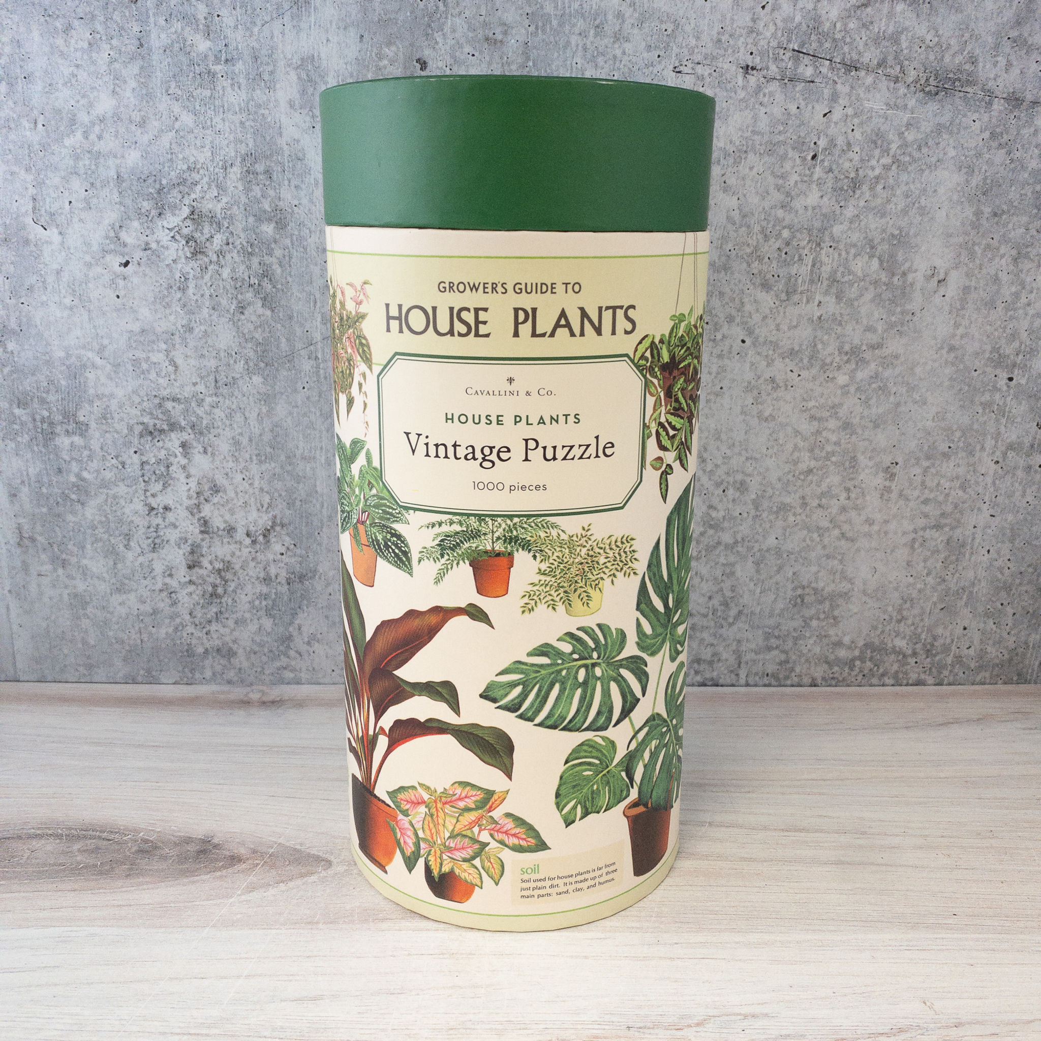 House Plant Vintage Puzzle