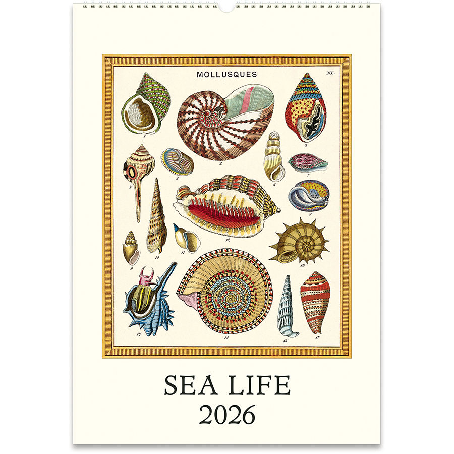 Sea Life 2026 Wall Calendar