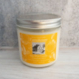 Lg Tangerine Mint Soy Candle