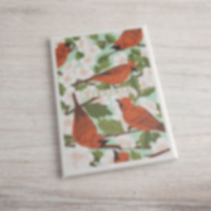 Magnet - Virginia Cardinals