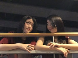 見つめあーうとー