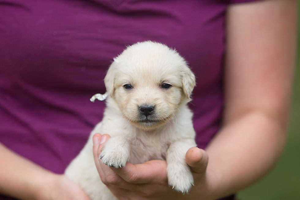 5 weeks old!