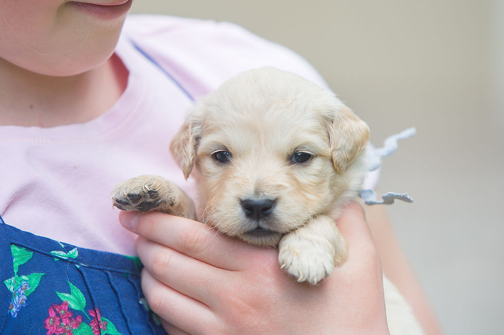 3 weeks old!