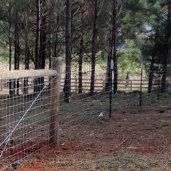 Barbed Wire