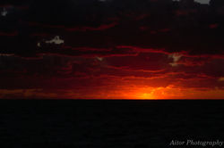 DSC_0556_01