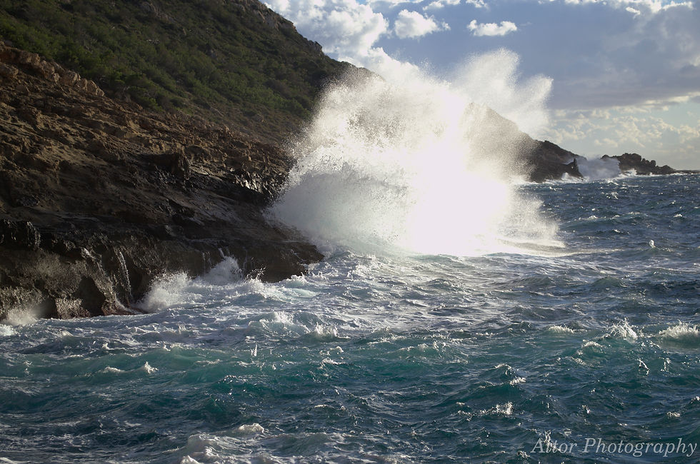 El Mar
