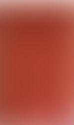 Radio Amateur Callbook CD ROM Winter 2012torrent Jehpere