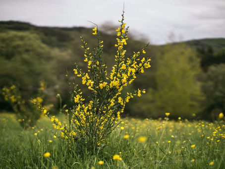 ExifMixer [March-2022]