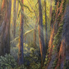 deep forest landscape oil painting fine art trees sunlight rays northwest rainforest scene