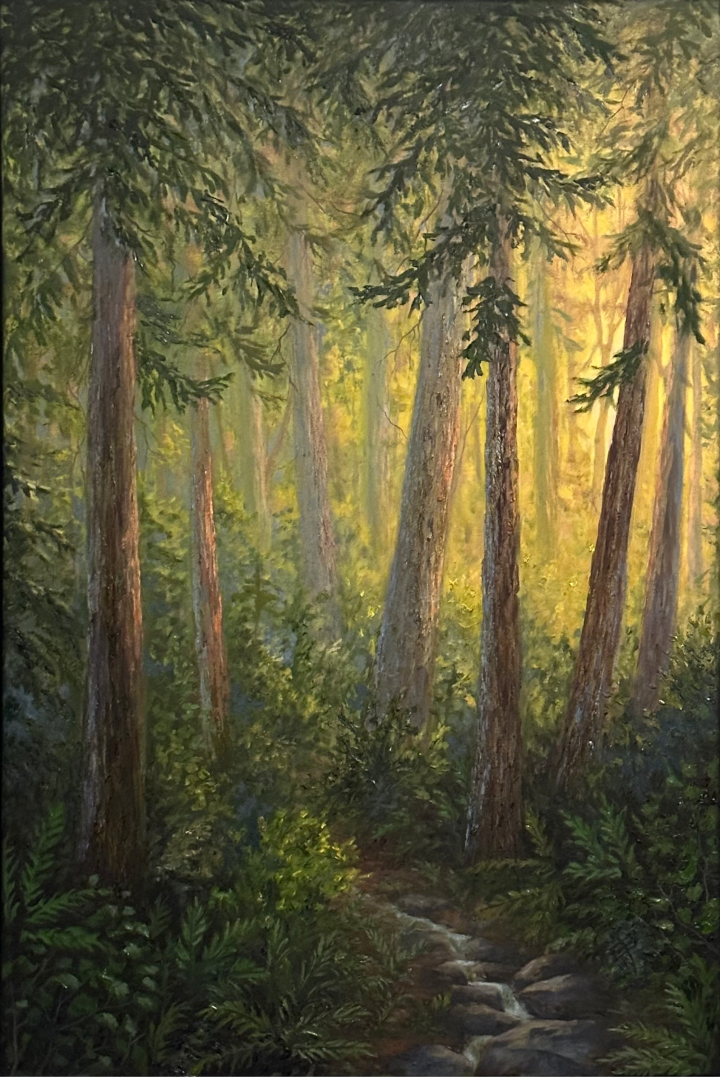 sunlight shining through the trees in a deep dark forest contemporary landscape oil painting